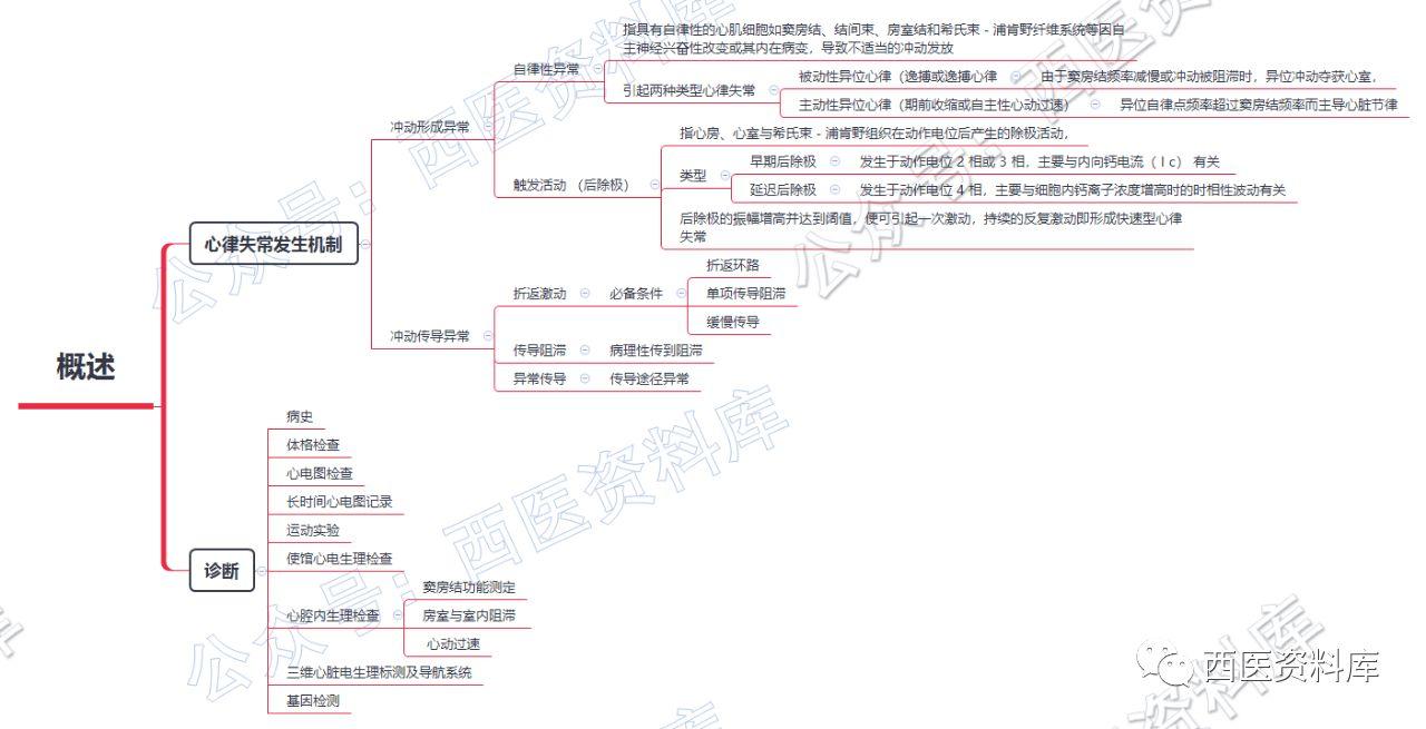 内科学思维导图笔记–第四篇–心律失常