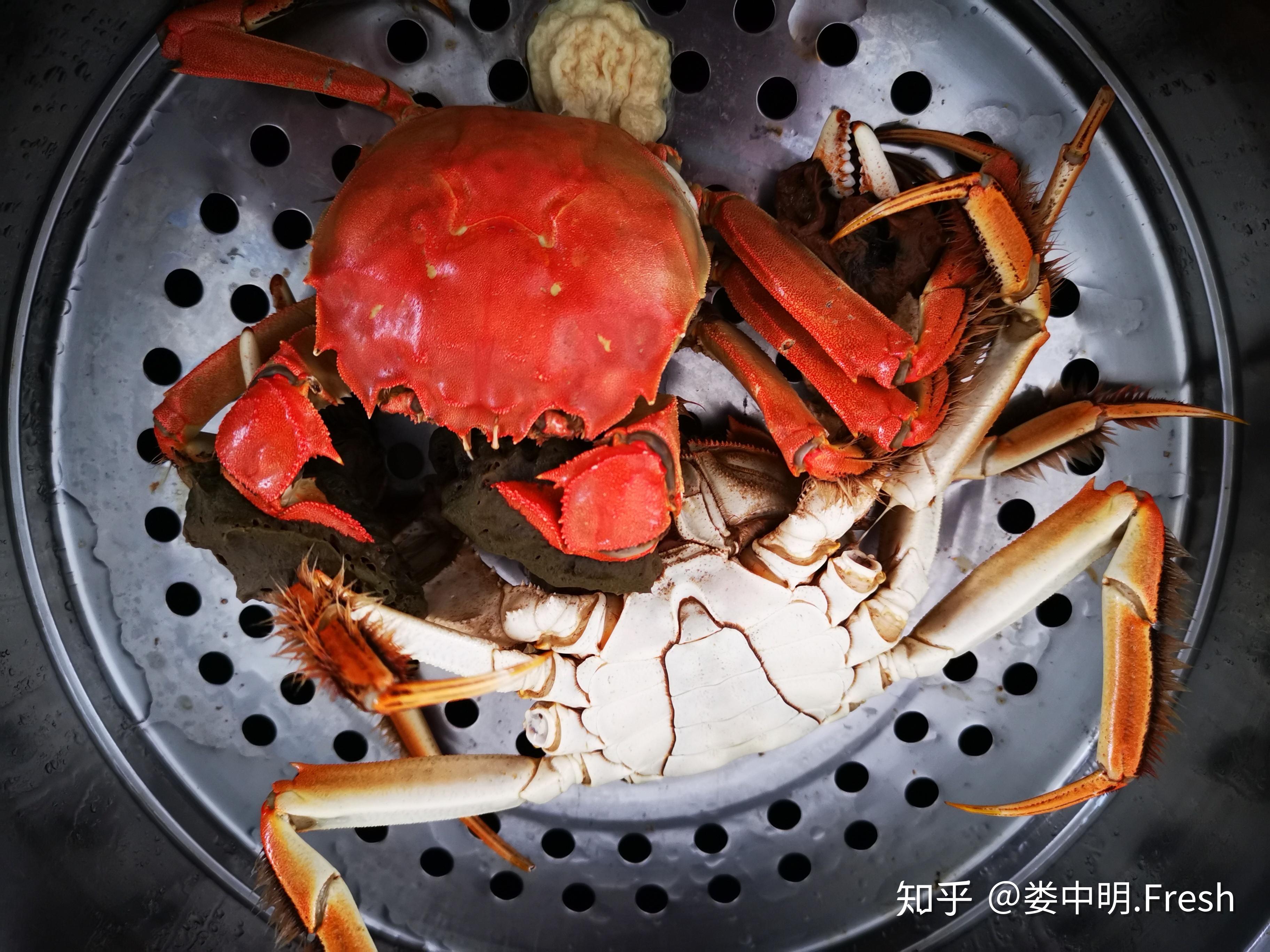 霸气的野生螃蟹|摄影|生态|广东粤神 - 原创作品 - 站酷 (ZCOOL)
