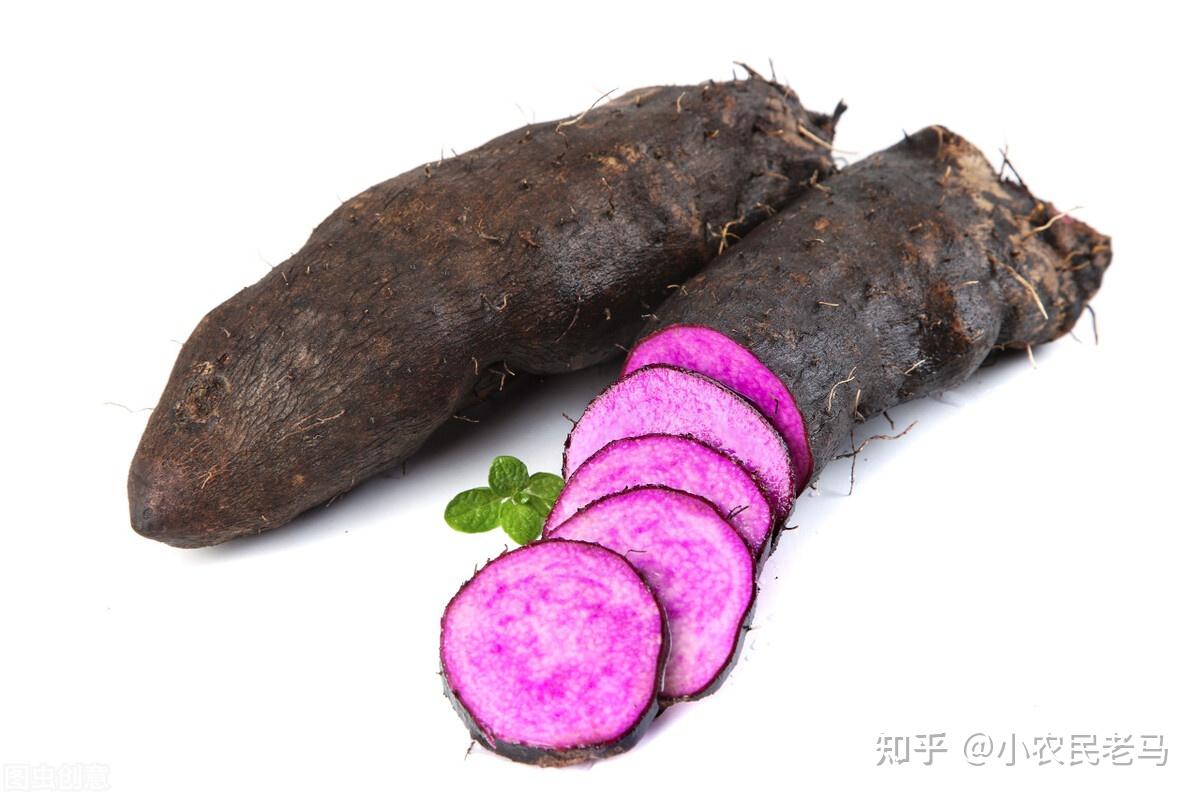 乐竞体育- 乐竞体育官方网站- 乐竞体育APP特朗普拖家带口访华只有一个目的他们家族用脚给中国投票