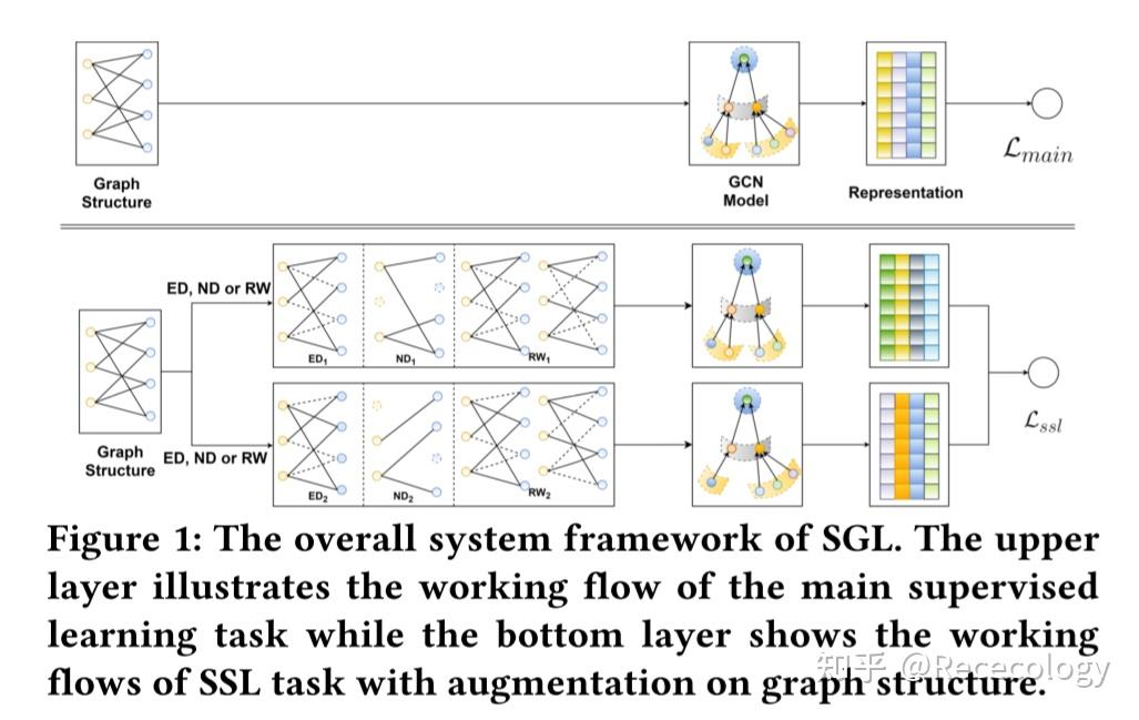 SGL: Self-supervised Graph Learning for Recommendation - 知乎