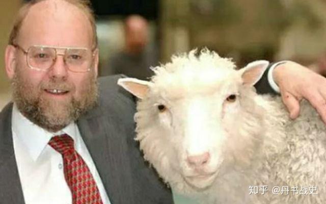 人类史上第一只克隆羊多莉,年纪轻轻就得老年病死掉了 - 知乎