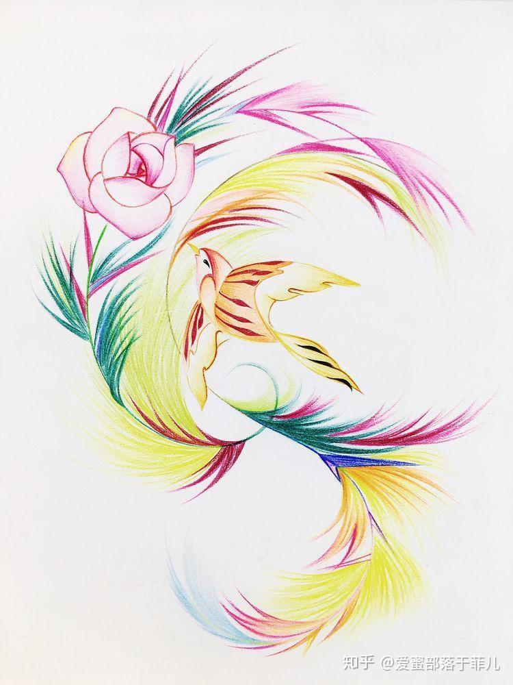 适合新手的练习线条的彩铅教程凤尾花26