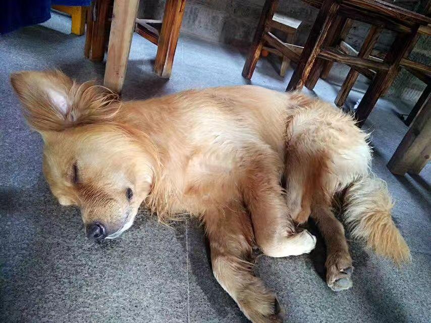 有哪些靠谱的大学生国际志愿项目或者义工旅行