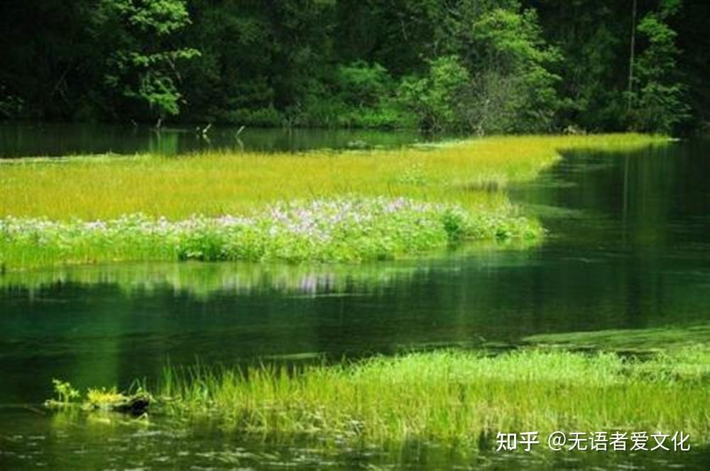 诗词欣赏:僧人不说佛理禅意而独赞美人——仲殊《柳梢青·吴中》 - 知乎