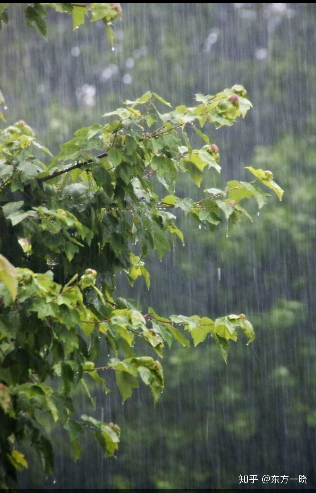 教室的窗外下着大雨