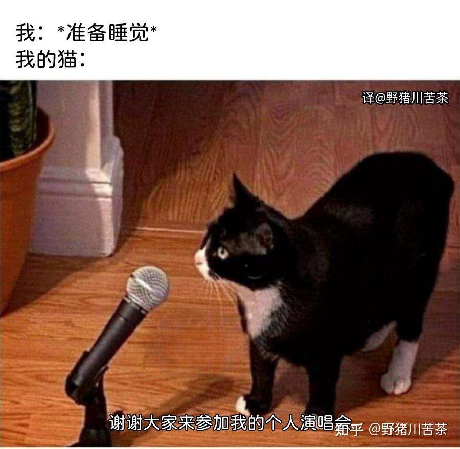 meme梗图:完美的照片不存在 - 知乎