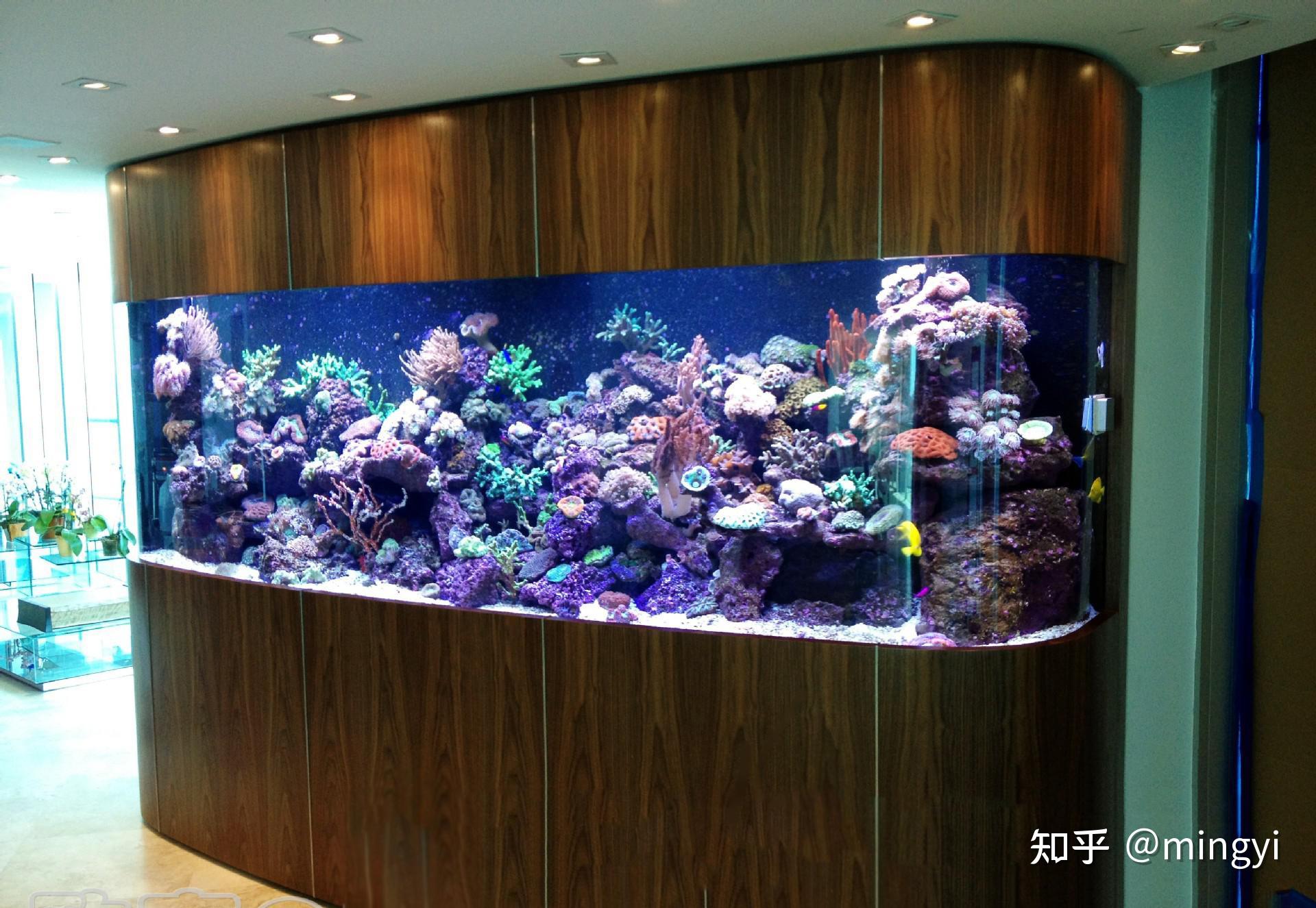 2021gias广州国际水族展水族箱行业解读艺术性与实用性的完美结合