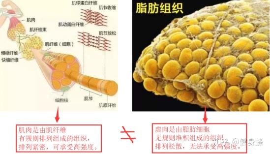 v2-183370bda5ecc001cf51d1d3dedbf657_r.jpg