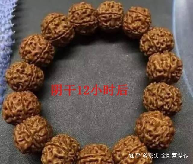 为金刚菩提快速上色的两种奇葩方法慎用