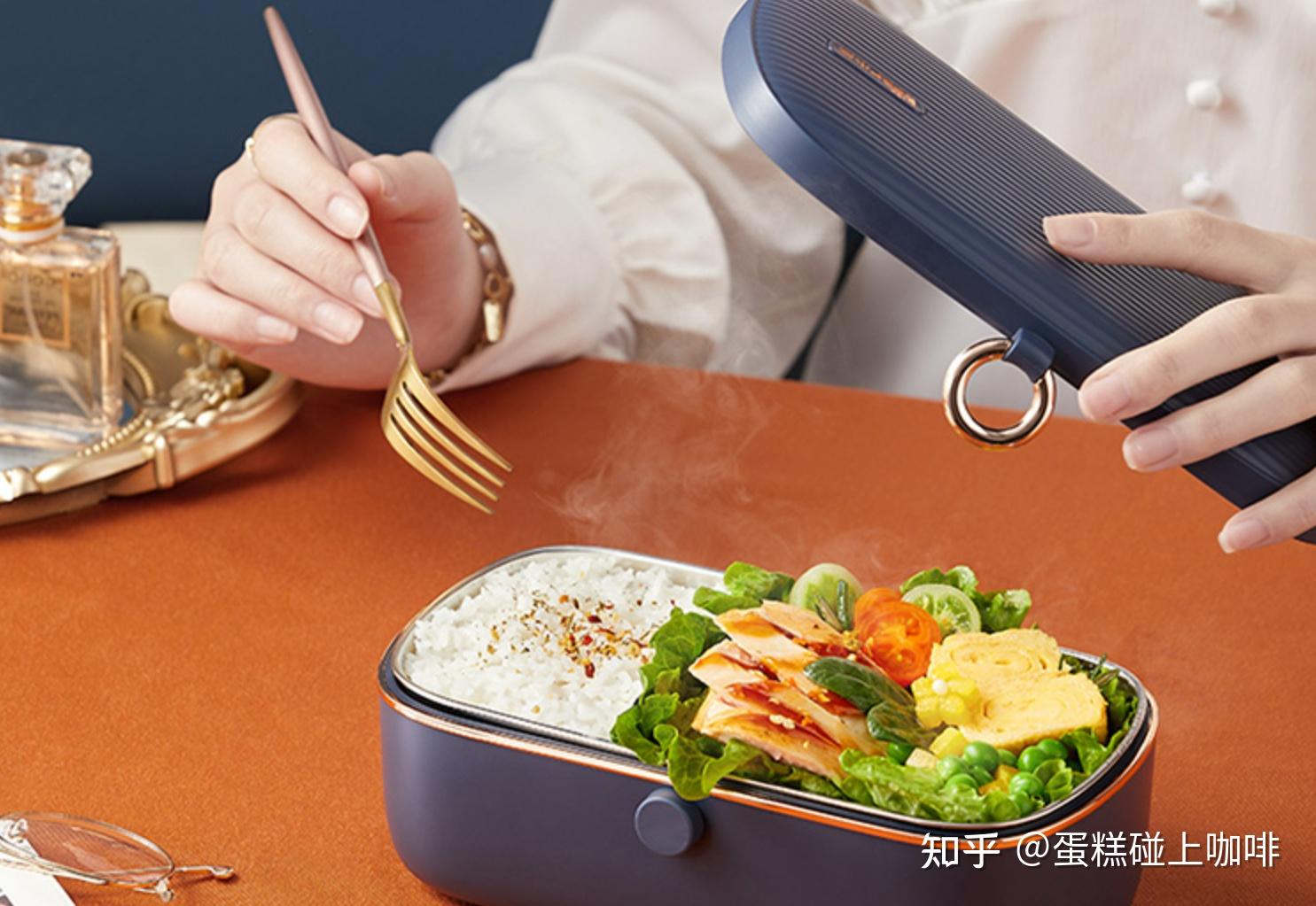 电加热饭盒哪个牌子好电加热饭盒选购者指南12款高性价比产品推荐6月