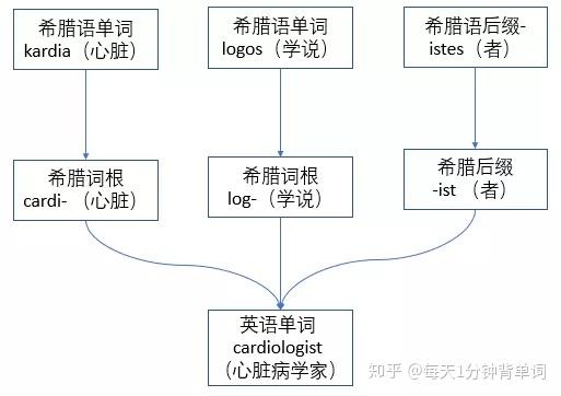 英语单词的由来与词根公式 - 知乎