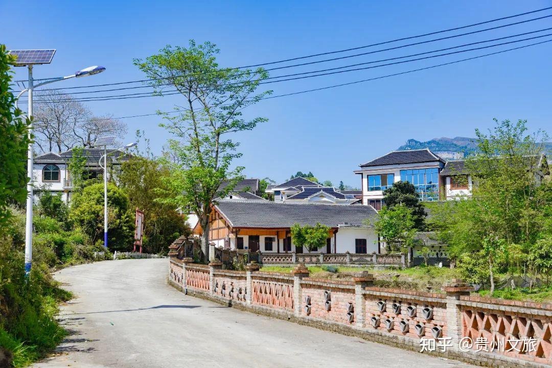 亲身体验过和溪镇水田坝你才能真正感受春天