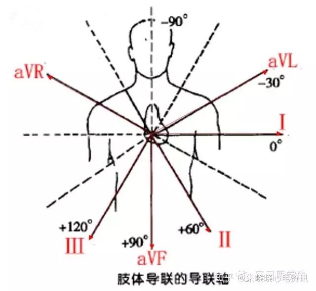 左肩胛線與v4水平(後壁)v7:左腋後線與v4水平(後壁)v6:左腋中線與v4