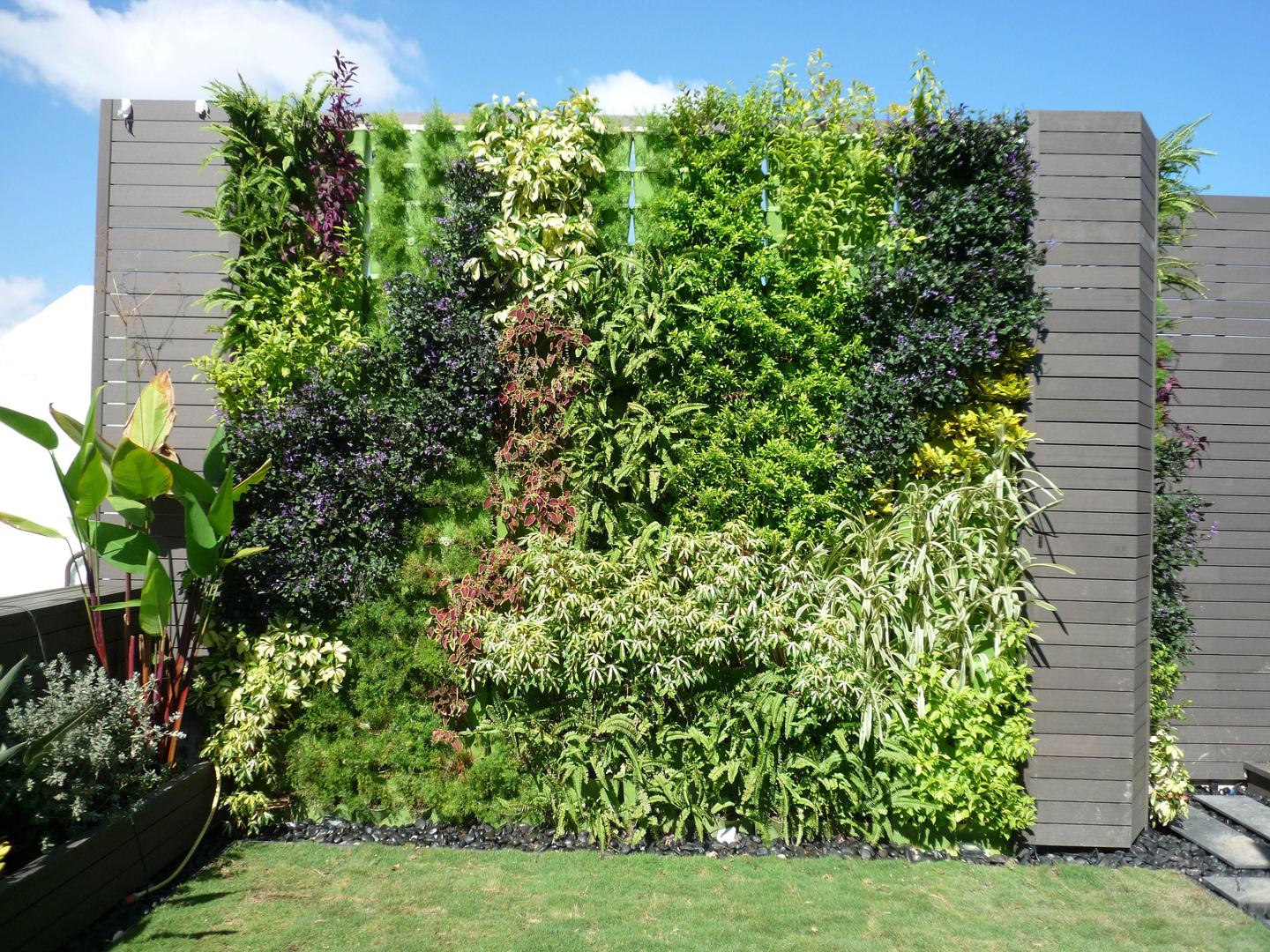 建筑绿化与植物墙 知乎