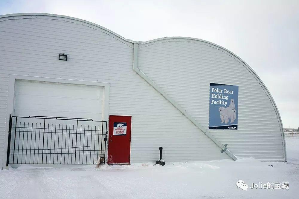 北极熊监狱