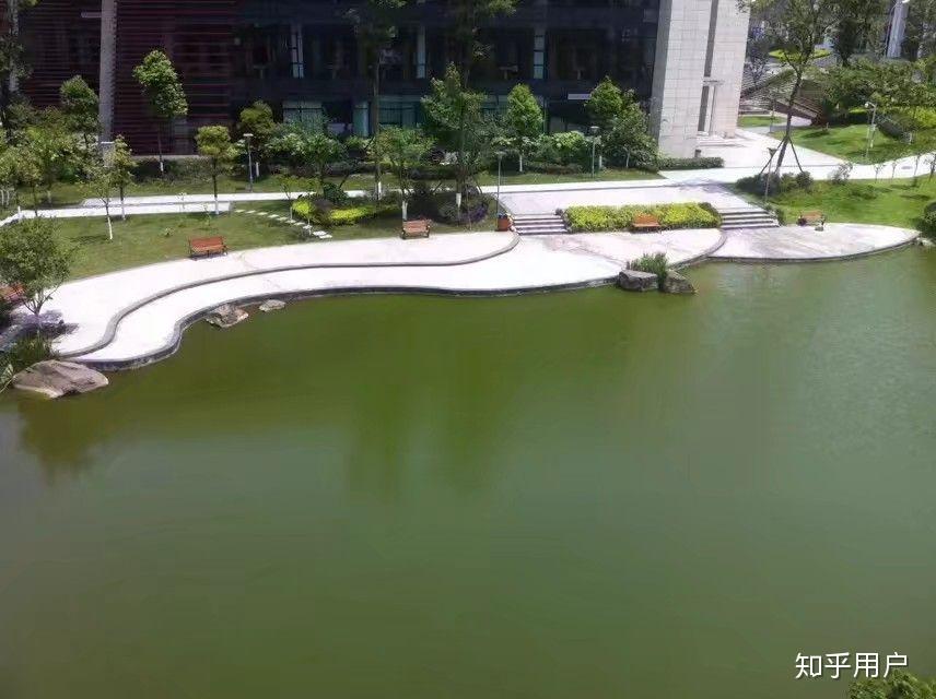 想请问在阿坝师范学院任教或做行政工作是什么