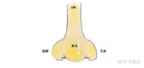 男鼻看财、女鼻看夫,男女不同 - 知乎