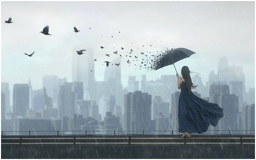 v2-18b94f7a61a45e8da5304216a06a08bb_1440w.jpg?source=172ae18b