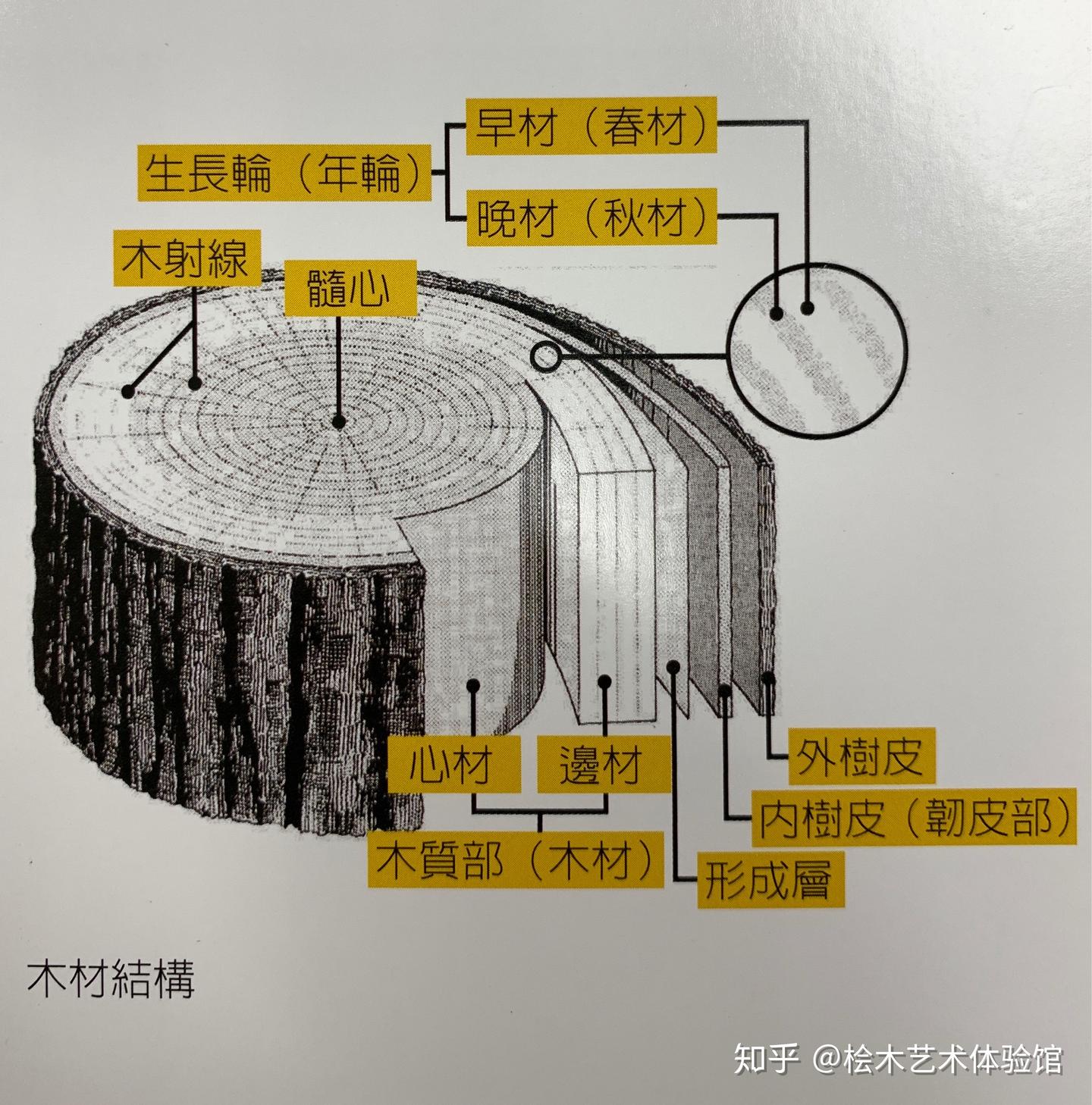 桧木艺术体验馆-玥瑞祥之台湾桧木特征: - 知乎