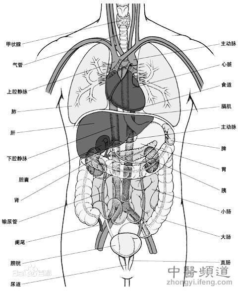 中医蕴含的五行学说，五脏之间的关系 - 知乎