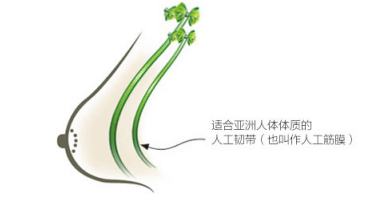 怎样才能有效改善胸部下垂 v2-18e368e3f9f49bcaf85d8d55cbfaaec3_1440w.jpg?source=172ae18b