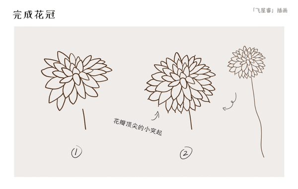 插画线稿很难画 来学习优雅抽象色块线描观花植物 一 知乎