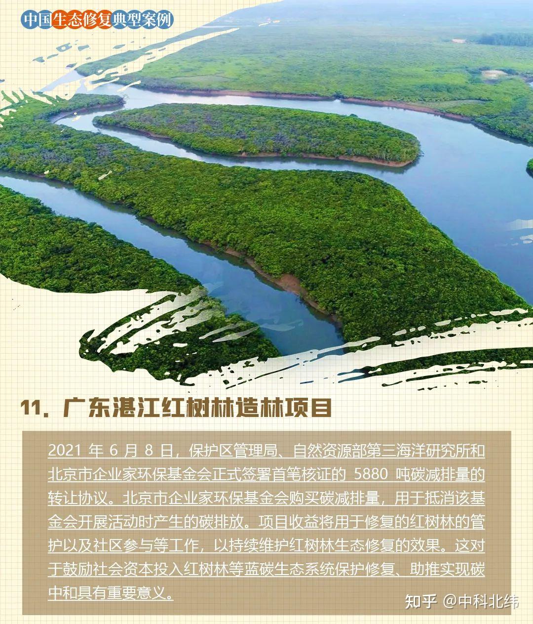 中国生态修复典型案例