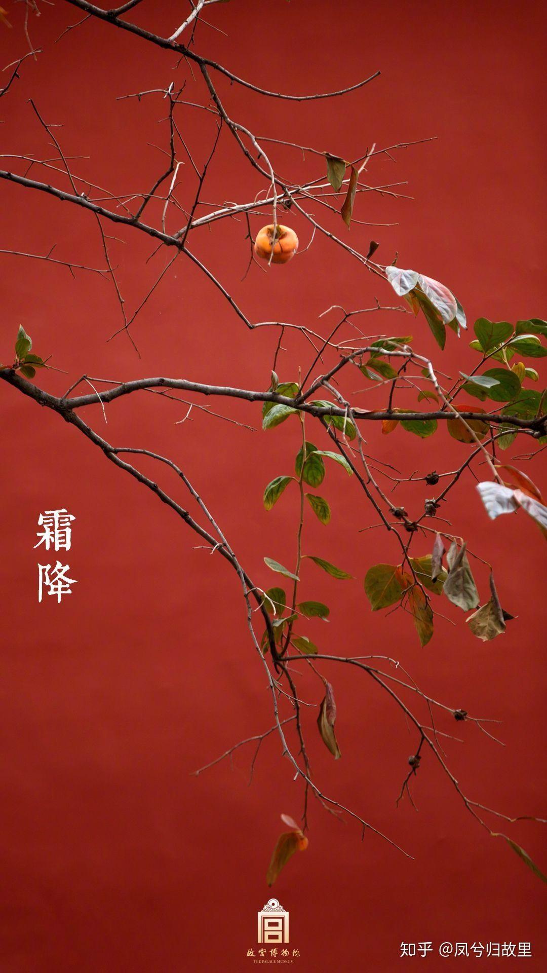 故宫二十四节气手机壁纸