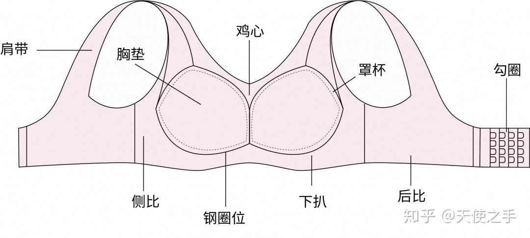 部位功能都不一样也不一定百分百了解内衣可能连穿了多年内衣的女性