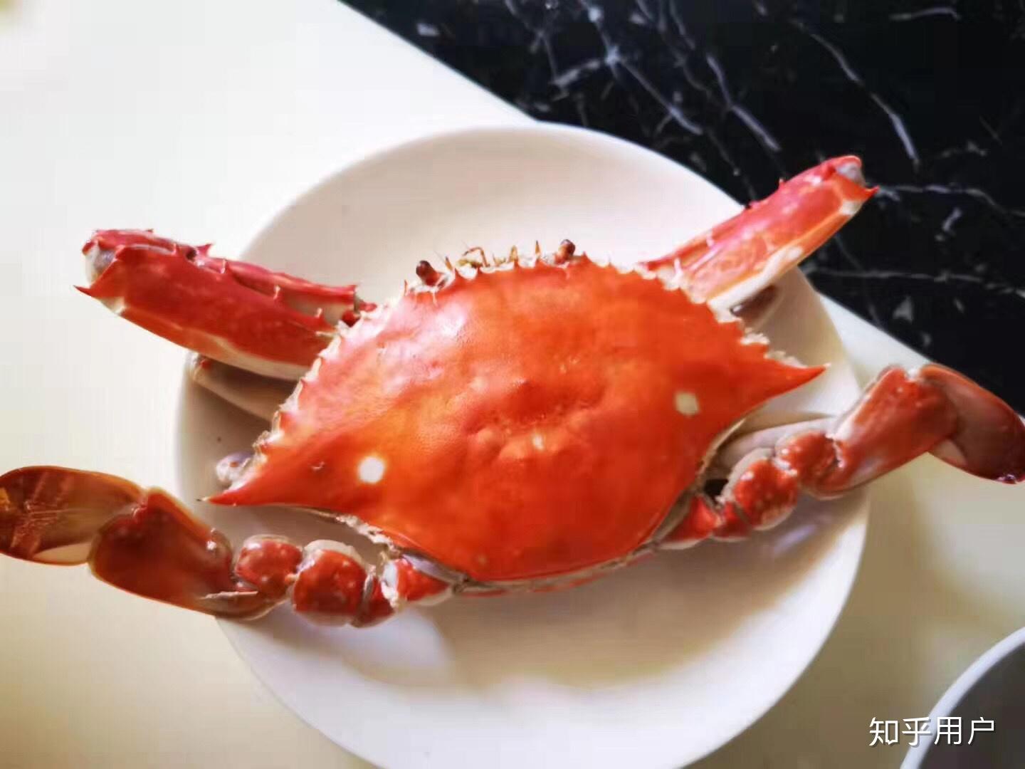 红烧梭子蟹怎么做_红烧梭子蟹的做法_豆果美食