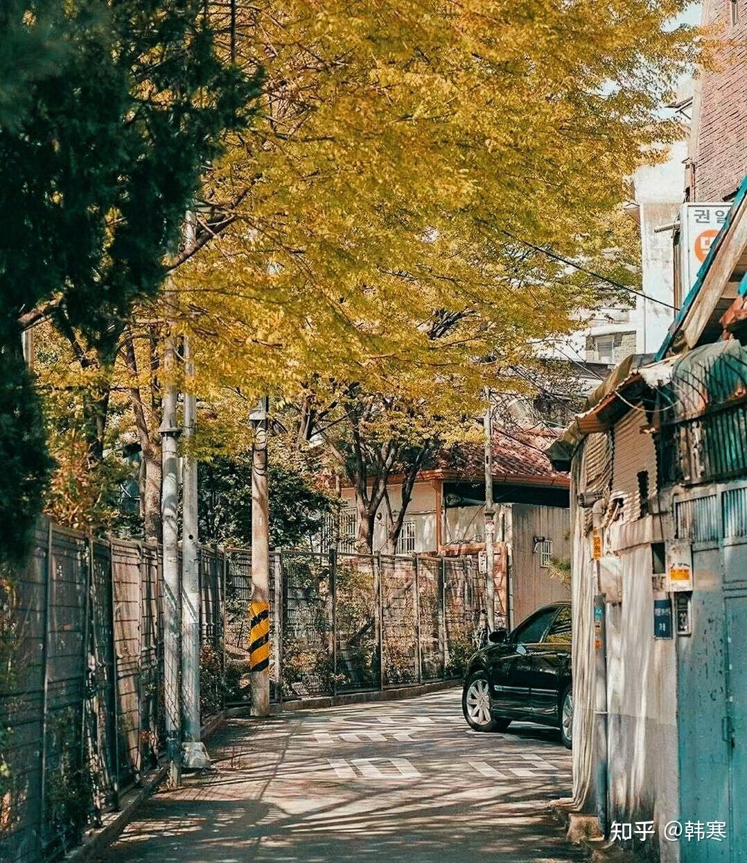 那些好看的青橙系列的手机摄影照片 - 知乎