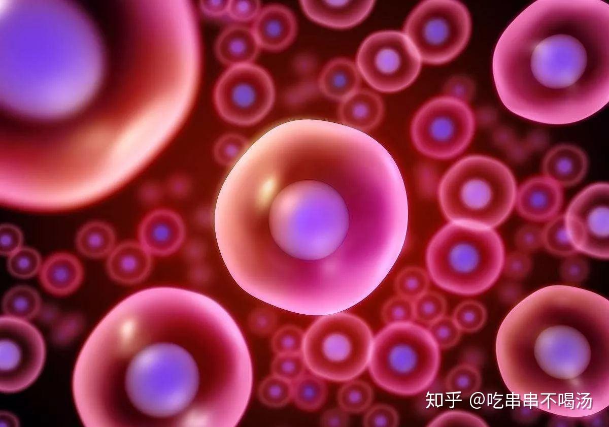 探索捐卵中介的合法化与监管