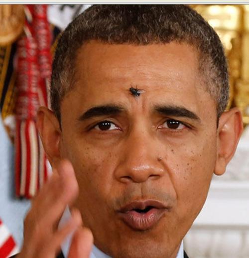 如果题主脸上爬了一只苍蝇,你会杀死它么?