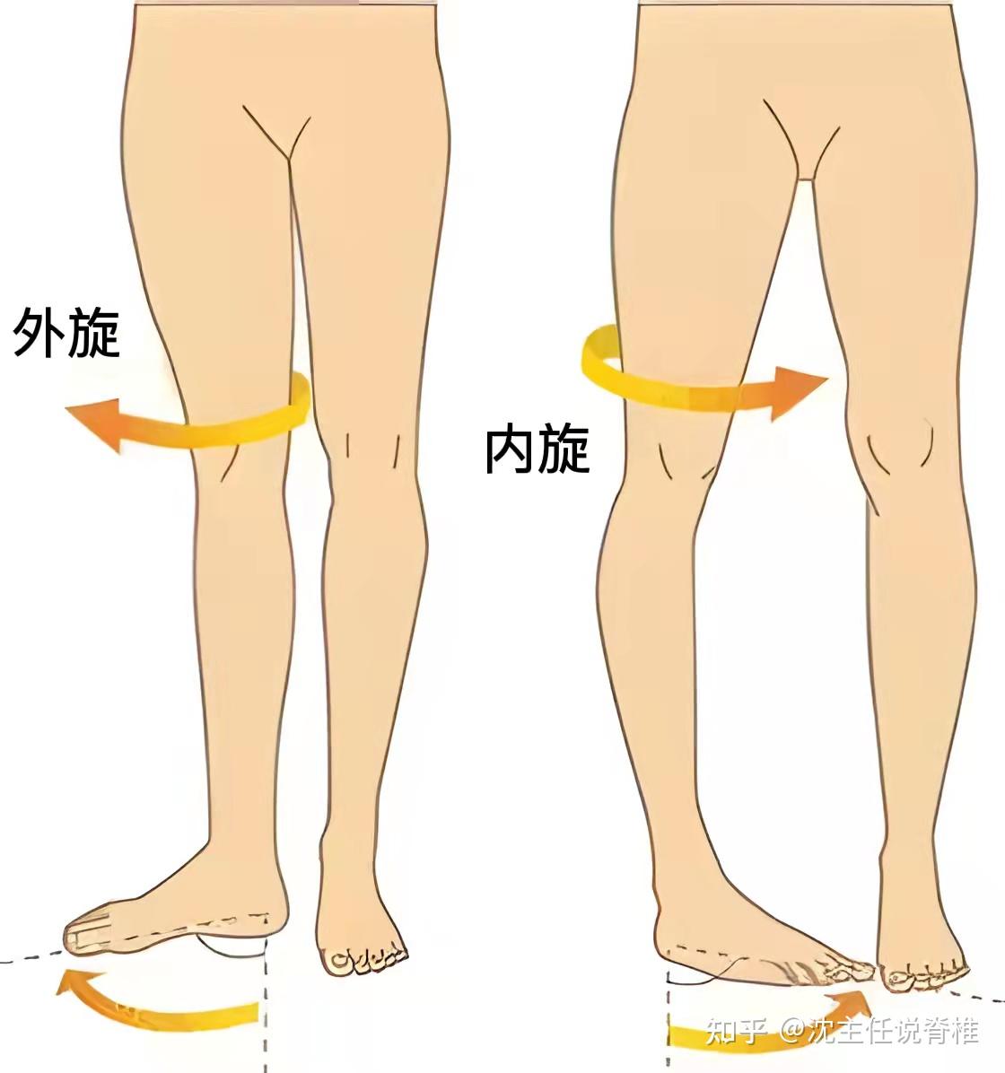 下肢与骨盆的影响(假性)长短腿