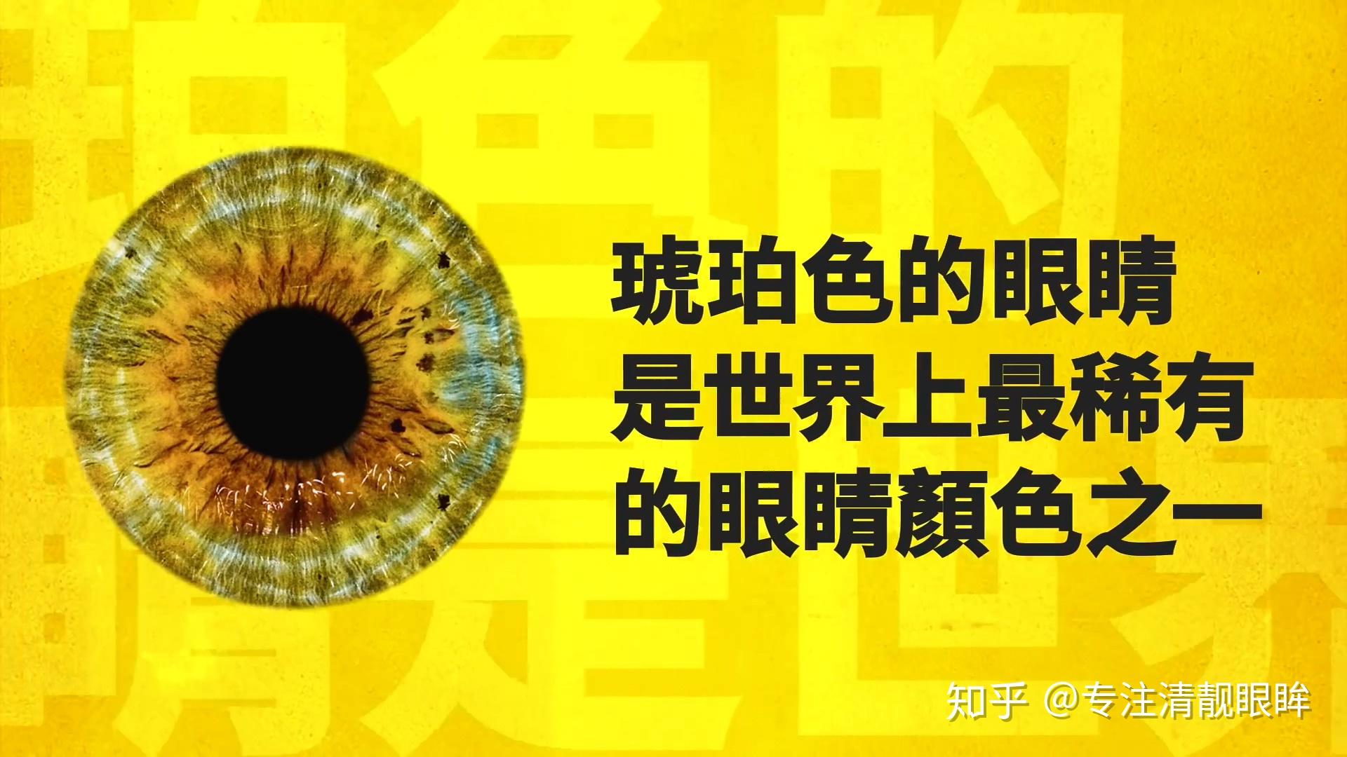 琥铂色眼睛仅存在于占全世界不到5%的人口中,它们多集中在南美洲和