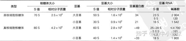 细胞 我裂开了 8 知乎