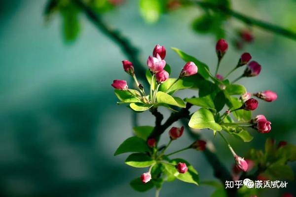 STM32H563 UART+DMA 2D功能演示 - 知乎