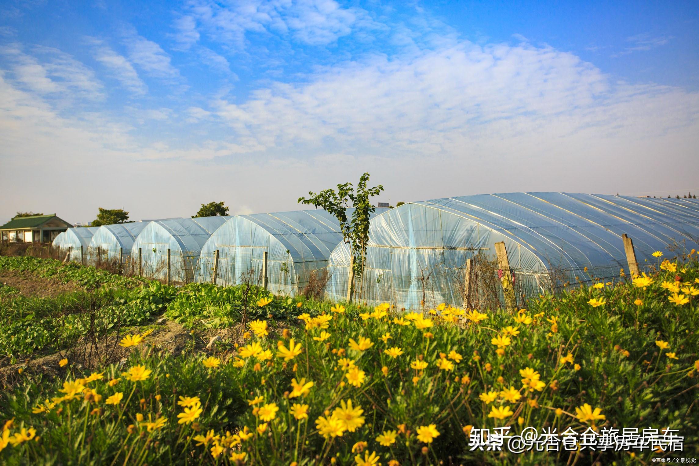 田园综合体景区房车露营地52自驾游场地