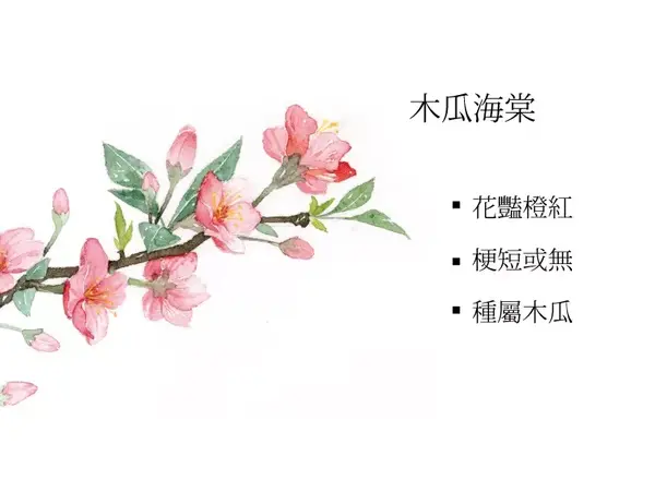 春日花鑑 梅花 桃花 杏花 李花 樱花 梨花 全网搜