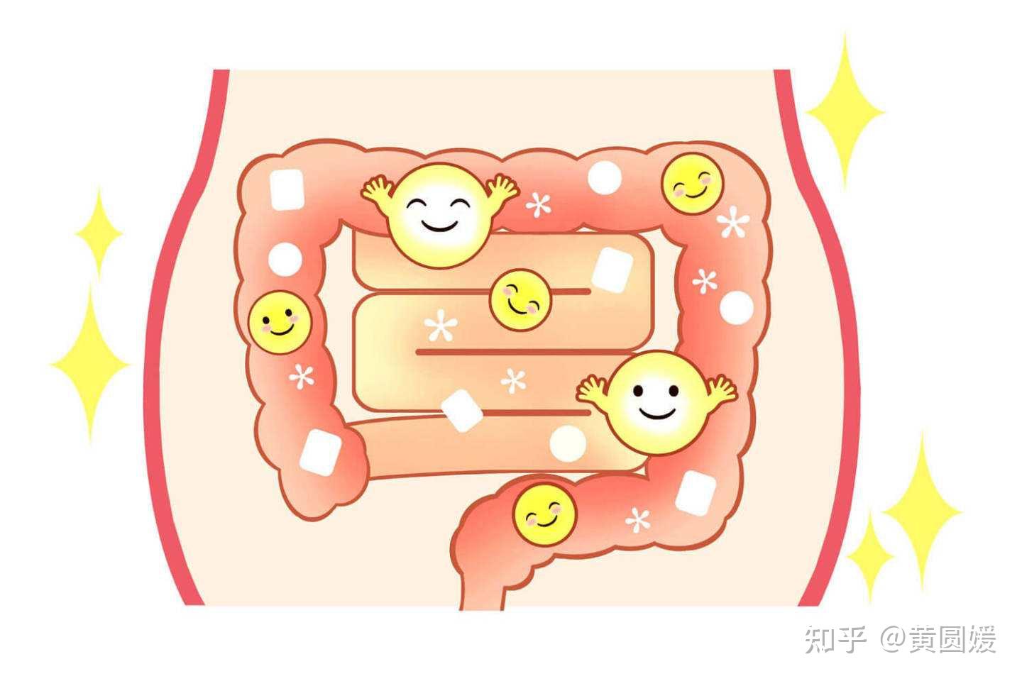 肠漏，你必须知道的热知识13：肠漏的影响、原因和防治总结 - 知乎