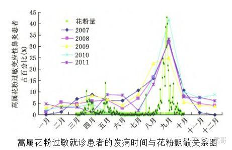 蒿属花粉过敏要怎么办 知乎