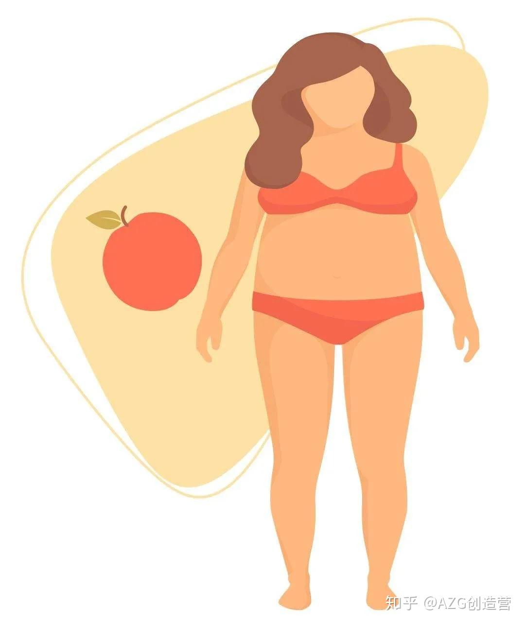 营养师专栏你为什么四肢不胖但看起来很胖可能是内脏脂肪偏多
