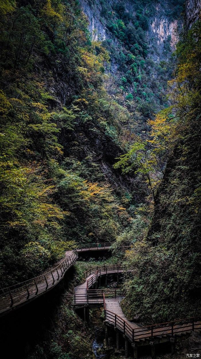 一人一唐,自驾洛南金丝峡,瞰五彩斑斓深秋神瀑峡沟