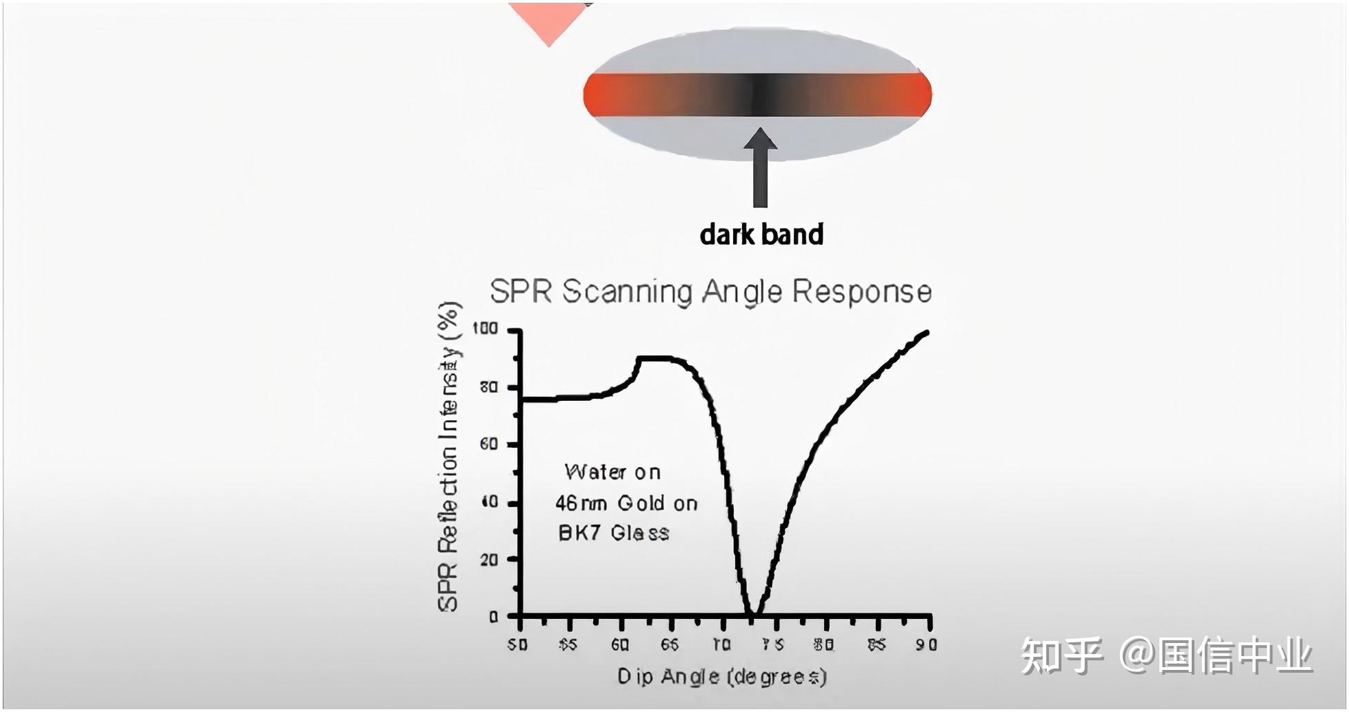 什么是表面等离子体共振 (SPR)？SPR 如何工作？ - 知乎