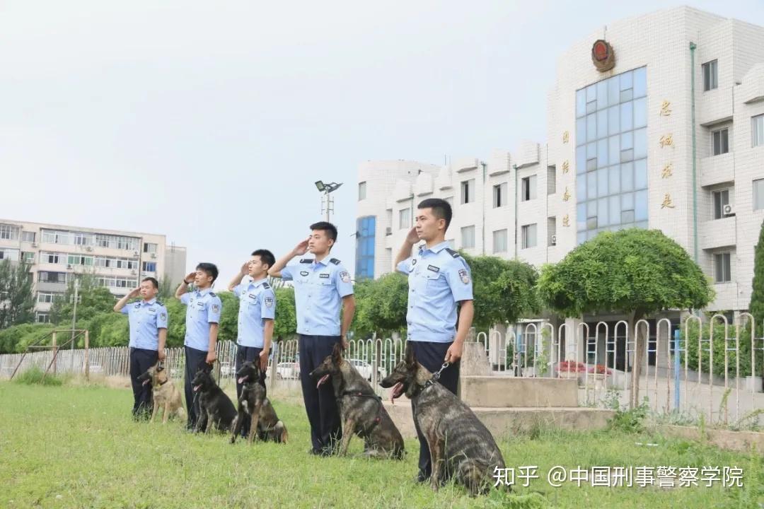 在部属沈阳警犬基地的基础上,建立公安部警犬技术学校;1992年,公安部