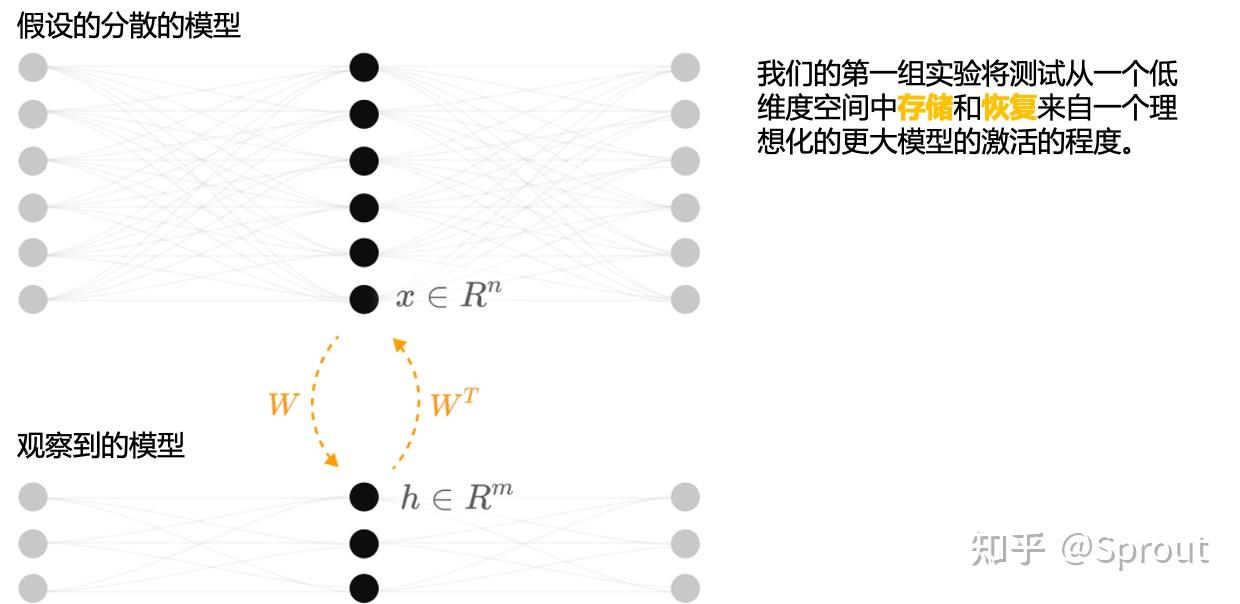 翻译 Toy Models of Superposition 知乎