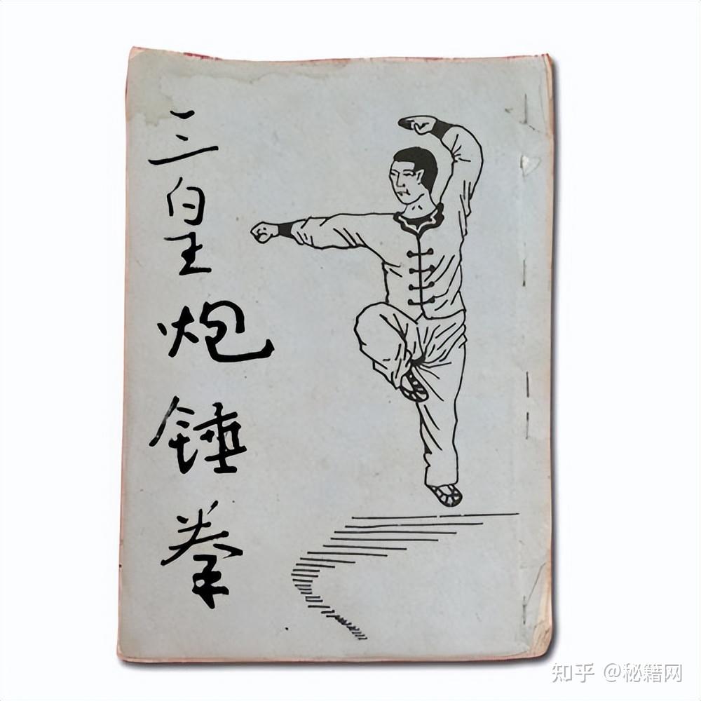 三皇炮捶拳 : 勇猛果敢な実戦拳 Amazon.co.jp: 三皇炮捶拳 : 勇猛果敢な実戦拳 : おもちゃ