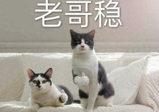 v2-19f6b1eae7fe49b1d5a320bfeb10897a_r.jpg