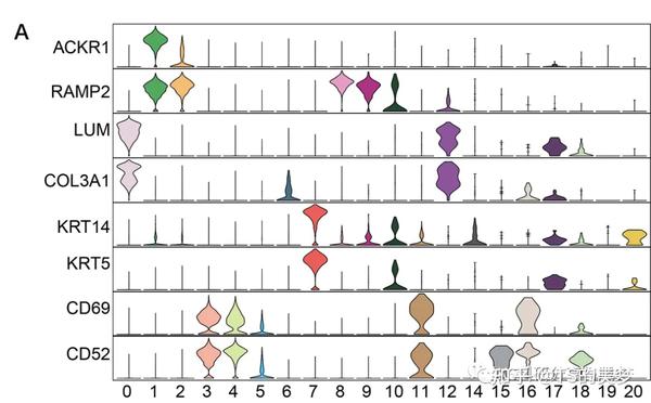 单细胞基因可视化之小提琴图 - 知乎