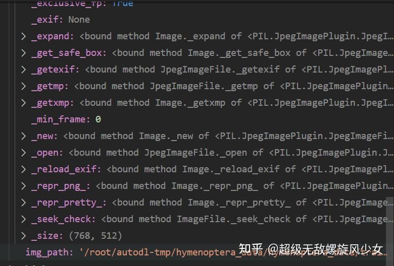 Pytorch dataset 